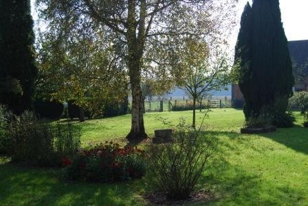 jardin.jpg